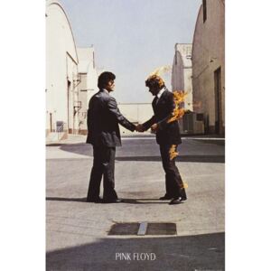 Poster PINK FLOYD - wish you were here, (61 x 91.5 cm)