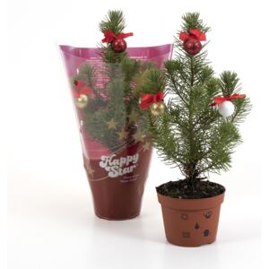 Mini Decorated Christmas Tree - 10.5cm