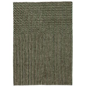 Blur Rug - / Afghan wool - 170 x 240 cm by Nanimarquina Green