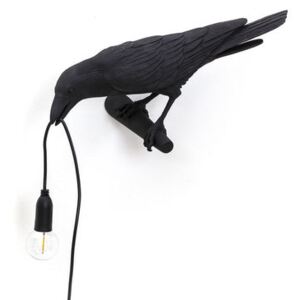 Bird Looking Wall light with plug - / Wall - Perched raven by Seletti Black