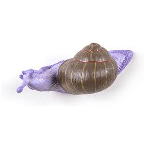 Snail Slow Hook - / Snail - Resin by Seletti Multicoloured
