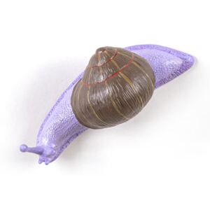 Snail Awake Hook - / Snail - Resin by Seletti Multicoloured
