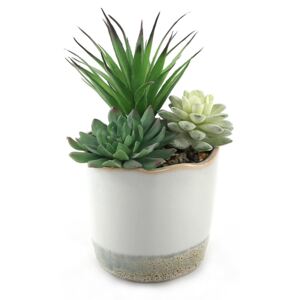 Dipped Ceramic Pot with Plant - Green