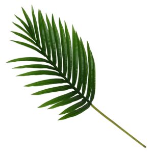 Mini Palm Leaf