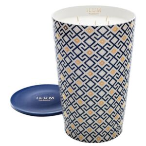 Ilum Perfumed candle - Fig Arabesque / 5,15kg by Max Benjamin Blue