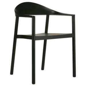 Monza Stackable armchair - Plastic & painted wood by Plank Black
