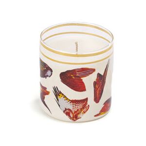 Toiletpaper - Wings Scented candle - / Glass by Seletti Multicoloured