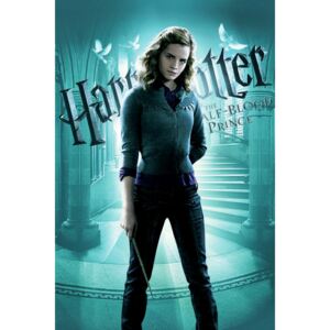 Art Poster Harry Potter - Half blood prince