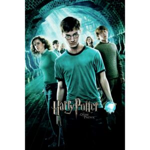 Art Poster Harry Potter and the Order of the Phoenix