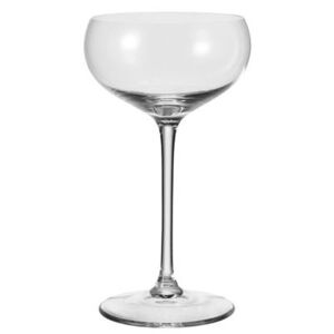 Cheers Champagne cup by Leonardo Transparent