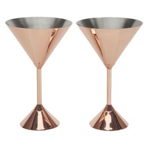 Plum Martini Cocktail glass - Set of 2 by Tom Dixon Copper