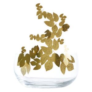Frutteti Leaves Centrepiece - / Crystal & Brass - Ø 21 cm by Opinion Ciatti Gold/Transparent
