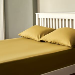 The Willow Manor 100% Cotton Percale Super King Fitted Sheet - Olive