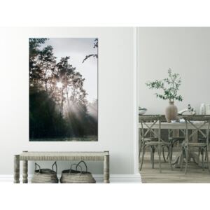 Canvas Print Trees: New Hope (1 Part) Vertical