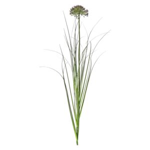 Lanzini Allium Grass Damson Spray, Set of Five