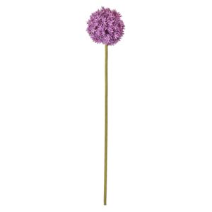 Lanzini Allium Purple Stem