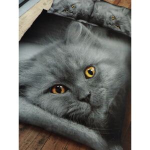 Grey Kitten Single Duvet Cover and Pillowcase Set
