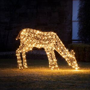 1m Studley Rattan Doe Light Up Reindeer