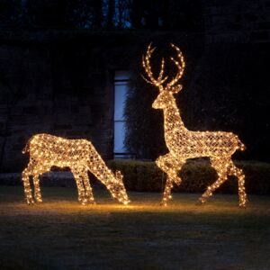 Large Studley Rattan Stag & Doe Light Up Reindeer