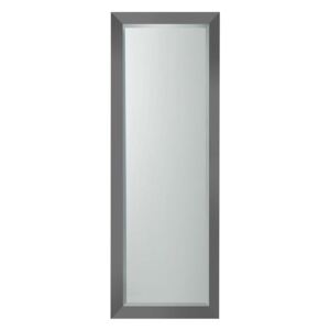 Skylar Full Length Wall Mirror in Grey