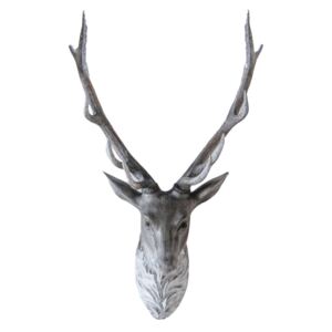 Angus Large Stag Head