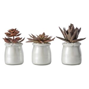 Rangley Mettalic Potted Succulents, Set of Three