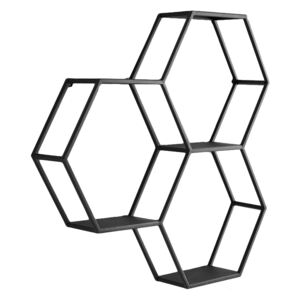 Costin Hexagon Wall Mounted Floating Shelf