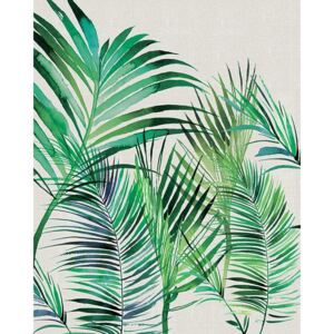 Palm Leaves 40 x 50cm Canvas Wall Art