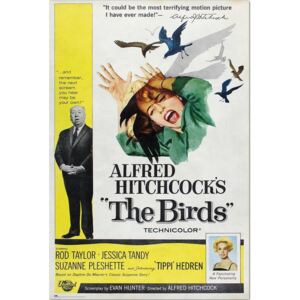 Poster Alfred Hitchcock - The Birds, (61 x 91.5 cm)