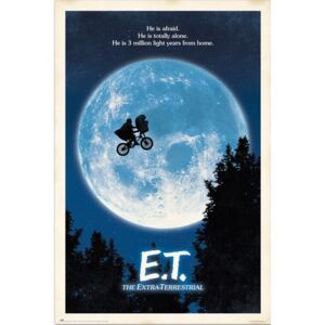 Poster E.T. - The Extra-Terrestrial, (61 x 91.5 cm)