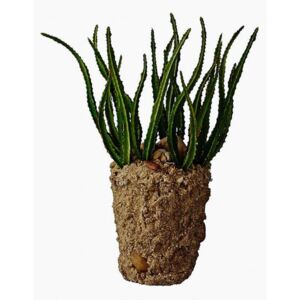 Faux Cactus Plant by Lene Bjerre - Default Title