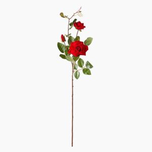 Red Rose Stem by India Jane - 75cm(H)