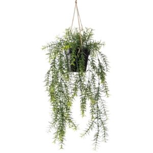 Emerald Artificial Asparagus Hanging Bush 50 cm in Pot