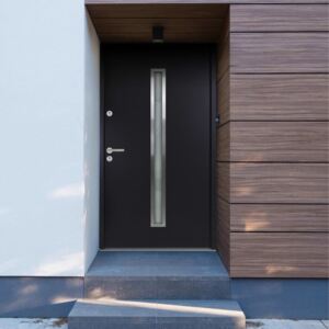 VidaXL Aluminium Front Door Anthracite 90x200 cm