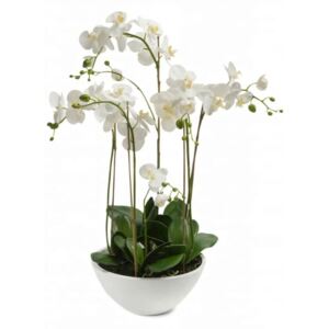 Emerald Artificial Phalaenopsis White 80 cm 20.335C