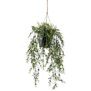 Emerald Artificial Boxwood Hanging Bush in Pot 50 cm