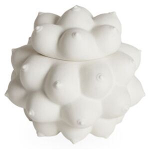 Georgia Box - / Porcelain - Breasts in relief by Jonathan Adler White