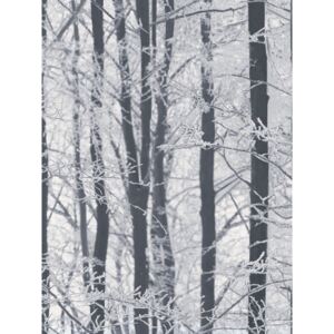 Frosted Wood Wallpaper Arthouse 670200