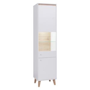 FURNITOP BJ2 Floor Standing Cabinet 50 with LED BJORN