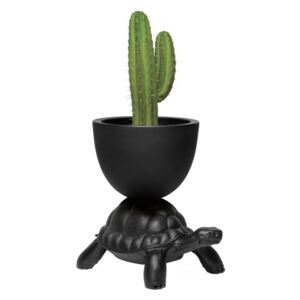 TURTLE CARRY PLANTER AND CHAMPAGNE COOLER - Black