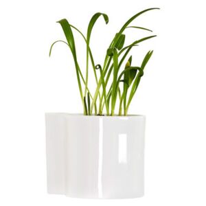 Hover Wall flowerpot - Porcelain - Ø 12 cm by Thelermont Hupton White