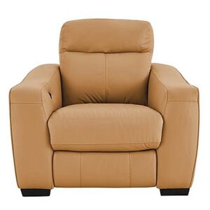 Cressida Leather Recliner Armchair- World of Leather