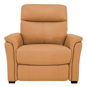 Compact Collection Piccolo Leather Static Armchair- World of Leather