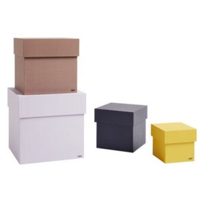 Desktop Box - / Set of 4 - L 23 cm by Hay Multicoloured