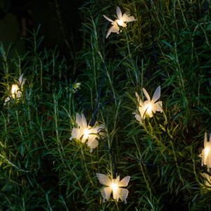 10 Butterfly LED Solar Fairy Lights