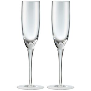 Denby China Champagne Flute Pack Of 2