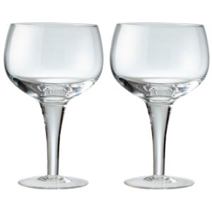 Denby China Gin Glass Pack Of 2