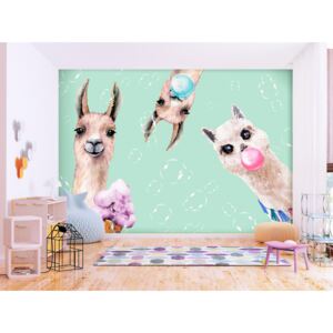 Wall mural For Children: Crazy Llamas