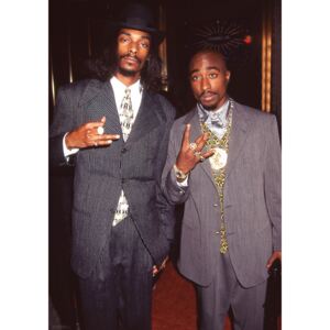 Poster Snoop Dogg & Tupac - Suits, (59.4 x 84.1 cm)