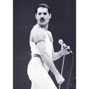 Poster Freddie Mercury - Live Aid, (59.4 x 84.1 cm)